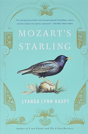 mozarts starling 1st edition lyanda lynn haupt 0316370908, 978-0316370905