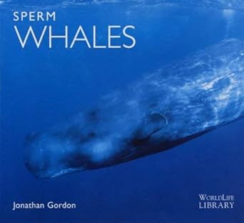 sperm whales 1st edition jonathan gordon 1900455528, 978-1900455527