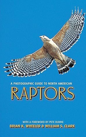 a photographic guide to north american raptors 1st edition brian k wheeler ,william s clark 069111644x,