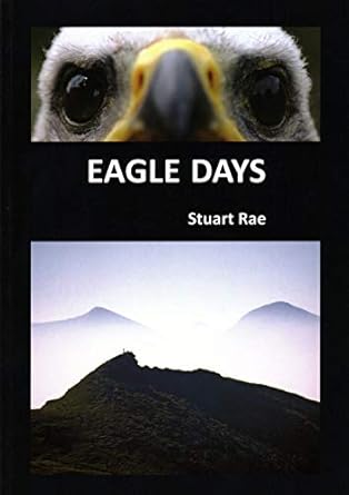 eagle days 1st edition stuart rae 1904078443, 978-1904078449