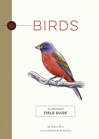birds an illustrated field guide 1st edition alice sun ,jared lee 1951511328, 978-1951511326