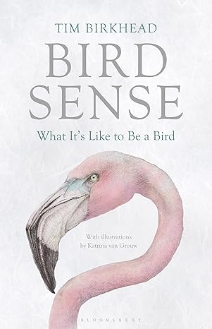 bird sense 1st edition tim birkhead 140883054x, 978-1408830543