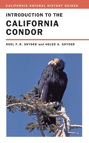 introduction to the california condor 1st edition noel snyder ,dr helen snyder 0520242564, 978-0520242562