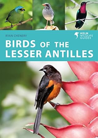 birds of the lesser antilles 1st edition ryan chenery 1472989619, 978-1472989611