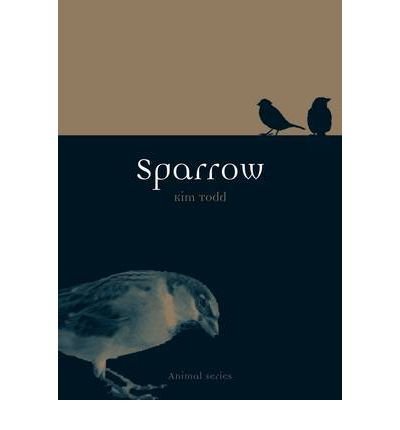 sparrow by todd kim feb 01 2012 paperback 1st edition kim todd 1861898754, 978-1861898753