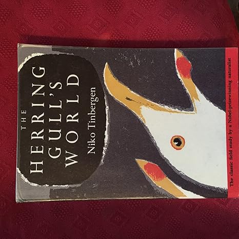 the herring gulls world a study of the social behaviour of birds 1st edition nikolaas tinbergen ,drawings b w