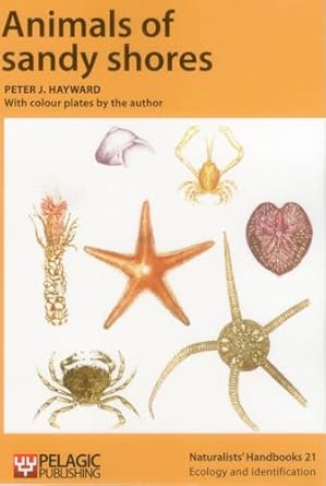animals of sandy shores 1st edition peter hayward 1784270393, 978-1784270391