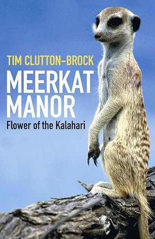 meerkat manor 1st edition tim clutton brock 0753823144, 978-0753823149