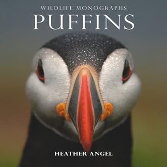 wildlife monographs puffins 1st edition heather angel 1901268195, 978-1901268195