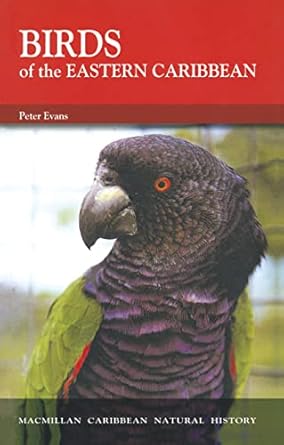 birds of the eastern caribbean 1st edition peter evans 0333521552, 978-0333521557