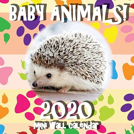 baby animals 2020 mini wall calendar 1st edition sea wall 1642525170, 978-1642525175