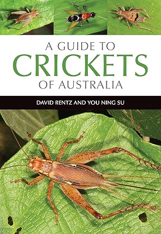 a guide to crickets of australia 1st edition david rentz ,you ning su 1486305067, 978-1486305063