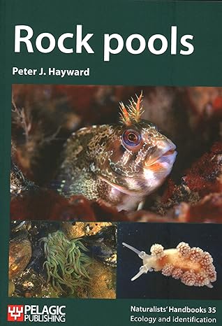 rock pools 1st edition peter j hayward 1784273597, 978-1784273590