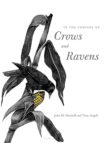 in the company of crows and ravens 1st edition john m marzluff ,tony angell ,paul ehrlich 0300122551,