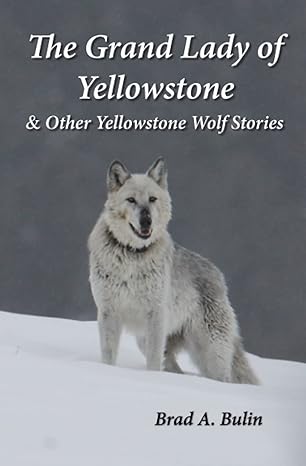 the grand lady of yellowstone and other yellowstone wolf stories 1st edition brad a bulin ,carolyn bulin