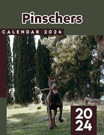 miniature pinschers calendar 2024 2025 animals calendar 2024 from january to december bonus 6 months 2025