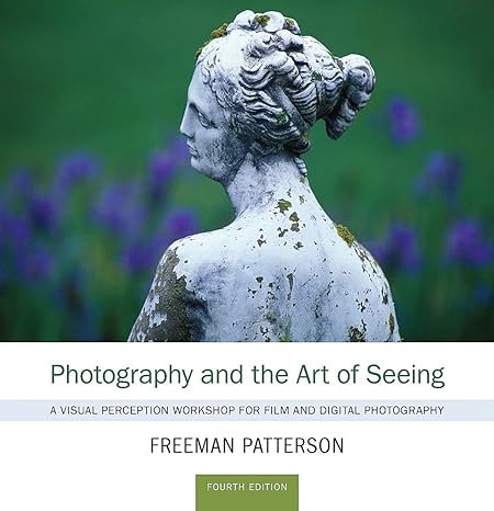 photography and the art of seeing a visual perception workshop for film and digital photography 4th edition