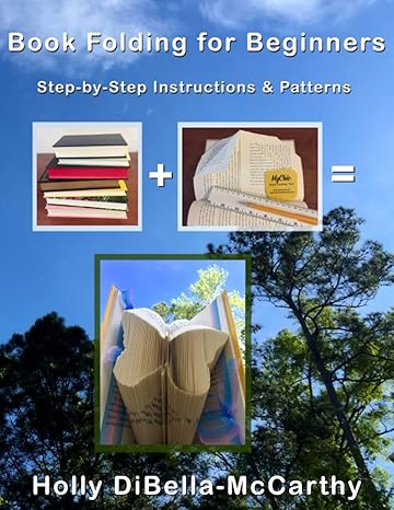 book folding for beginners step by step instructions and patterns 1st edition holly dibella mccarthy