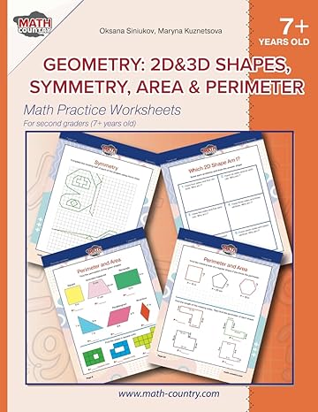 geometry 2d and 3d shapes symmetry area and perimeter math practice worksheets for 2 nd graders 1st edition