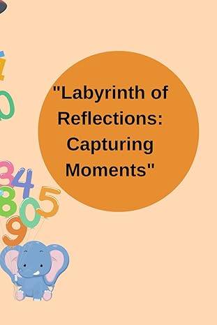 user labyrinth of reflections capturing moments 1st edition ferhat aslan b0cyzvmnw8