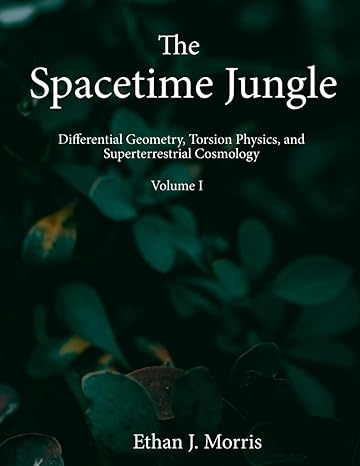 the spacetime jungle volume 1 differential geometry torsion physics and superterrestrial theory 1st edition