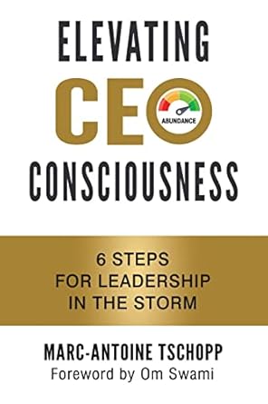 elevating ceo consciousness 6 steps for leadership in the storm 1st edition marc-antoine tschopp