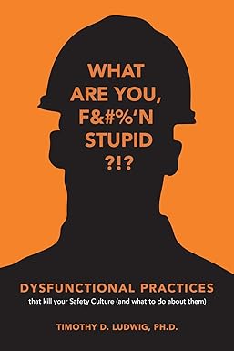 dysfunctional practices that kill your safety culture 1st edition timothy d ludwig ph.d. 0999861611,