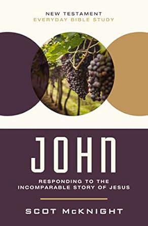 john responding to the incomparable story of jesus 1st edition scot mcknight 031012932x, 978-0310129325