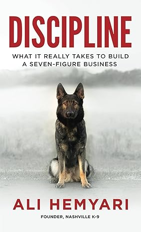 discipline what it really takes to build a seven figure business 1st edition ali hemyari b0ctbw17nt,