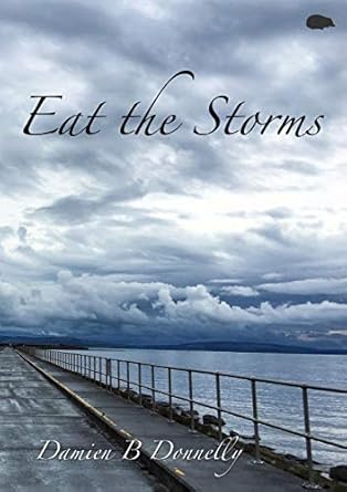 eat the storms 1st edition damien b donnelly 191349926x, 978-1913499266