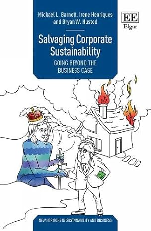 salvaging corporate sustainability going beyond the business case 1st edition michael l barnett ,irene