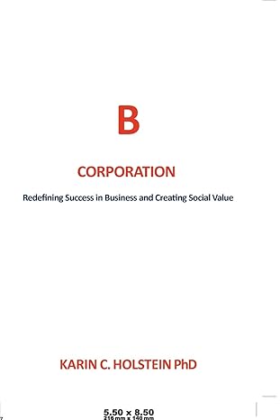 business ethics for a new economy redefining success in business and creating social value 1st edition karin