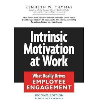 intrinsic motivation at work what really drives employee engagement by thomas kenneth w paperback 1st edition
