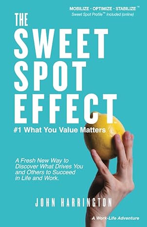 the sweet spot effect #1 what you value matters a fresh new way to discover what drives you and others to