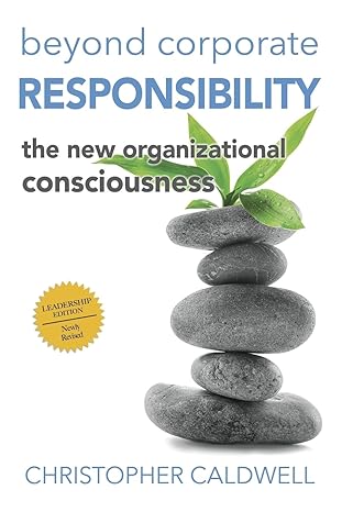 beyond corporate responsibility the new organizational consciousness leadership edition 2nd edition