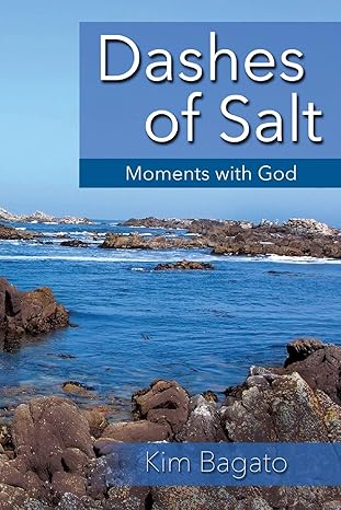 dashes of salt for a well seasoned week 1st edition kim bagato 1482671425, 978-1482671421