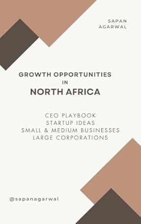 growth opportunities in north africa ceo playbook startup ideas small and medium businesses large