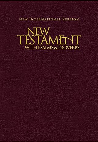 niv new testament with psalms and proverbs pocket sized paperback burgundy 1st edition zondervan 1563206633,