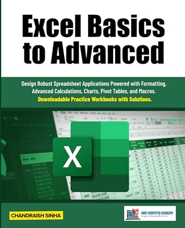 excel basics to advanced design robust spreadsheet applications powered with formatting advanced calculations