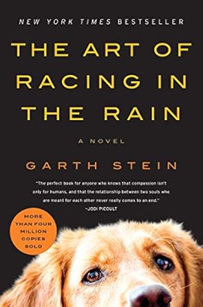 the art of racing in the rain a novel 1st edition garth stein 0061537969, 978-0061537967