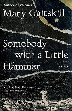 somebody with a little hammer essays 1st edition mary gaitskill 0307472337, 978-0307472335