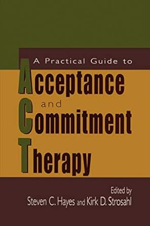 a practical guide to acceptance and commitment therapy 1st edition steven c hayes ,kirk d strosahl