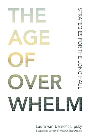 the age of overwhelm strategies for the long haul 1st edition laura van dernoot lipsky 1523094737,