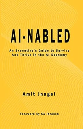 ai nabled an executives guide to survive and thrive in the ai economy 1st edition amit jnagal ,s a ibrahim