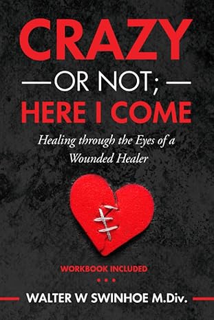 crazy or not here i come healing through the eyes of a wounded healer 1st edition walter w swinhoe, anne