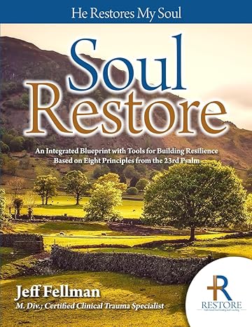 soul restore an integrated blueprint with tools for building resilience based on eight principles from the