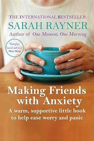 making friends with anxiety a warm supportive little book to help ease worry and panic 1st edition sarah