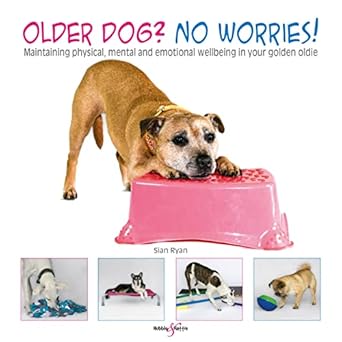 older dog no worries maintaining physical mental and emotional well being in your golden oldie 1st edition