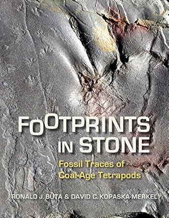 footprints in stone fossil traces of coal age tetrapods 1st edition ronald j. buta ,david c. kopaska-merkel