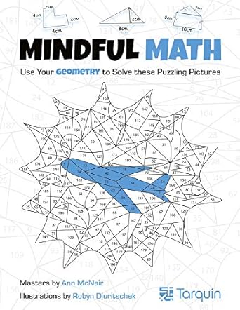 mindful math 2 use your geometry to solve these puzzling pictures 1st edition ann mcnair ,robyn djuritschek